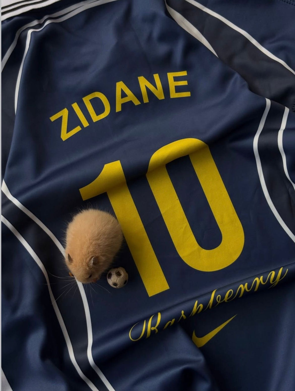 RETRO JERSEY